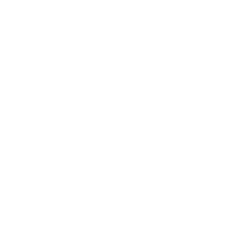 Ness logo